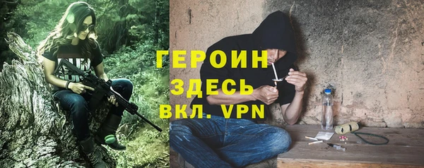 ГАЛЛЮЦИНОГЕННЫЕ ГРИБЫ Гусь-Хрустальный