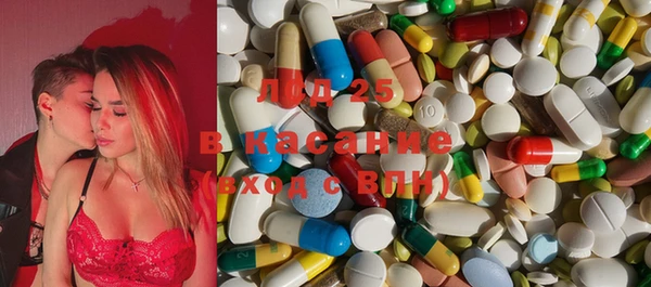 индика Зерноград