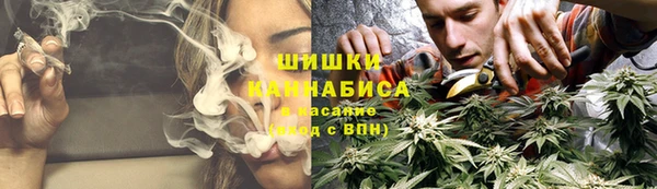 а пвп мука Дмитриев