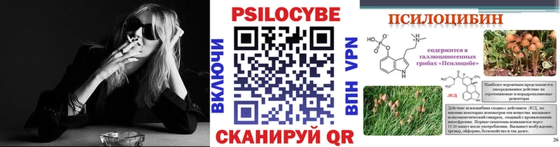 Купить где  Кирс  Псилоцибиновые грибы мицелий 