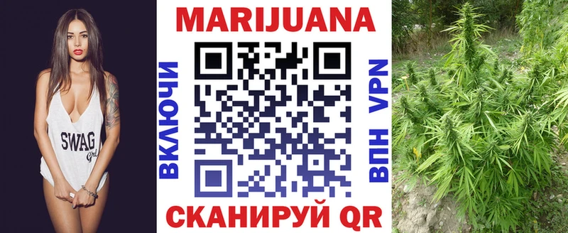 Шишки марихуана Bruce Banner  Купить где  Кирс 